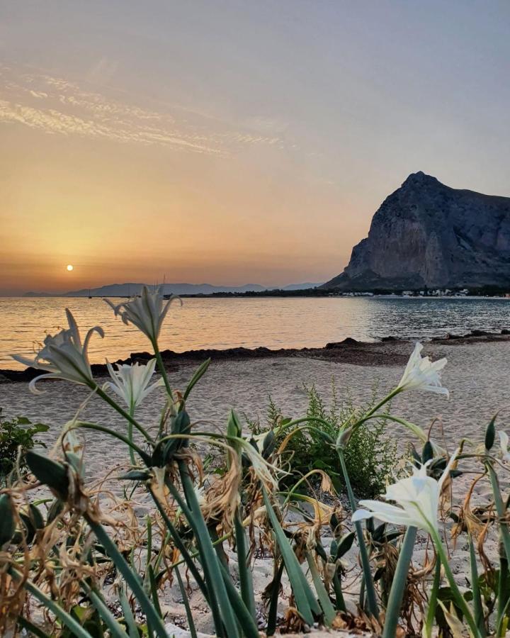 B&B Le Ortensie San Vito Lo Capo Kültér fotó