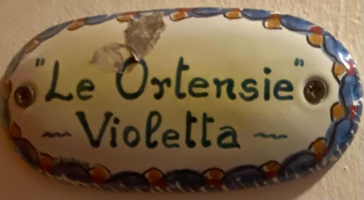 B&B Le Ortensie San Vito Lo Capo Kültér fotó